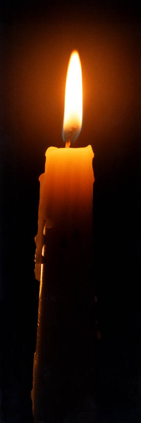 Peace candle